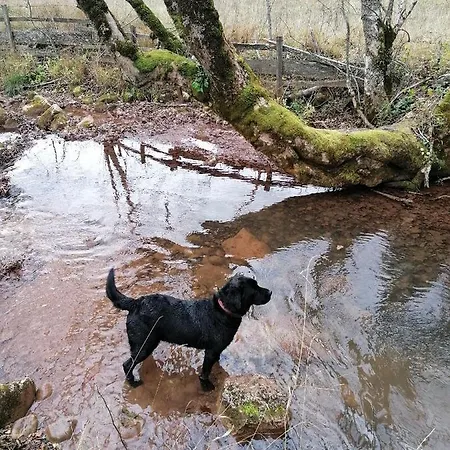 Brvnara Jahorinka Hébergement de vacances Jahorina
