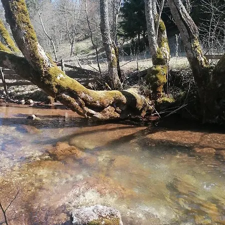 Brvnara Jahorinka Ferienhaus *